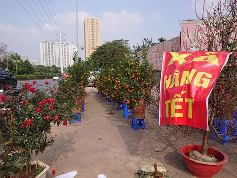 24 tết, người bán hoa tại Hà Nội xả hàng, giảm giá, chỉ mong huề vốn - Ảnh 1. 24 tết, người bán hoa tại Hà Nội xả hàng, giảm giá, chỉ mong huề vốn - Ảnh 1.