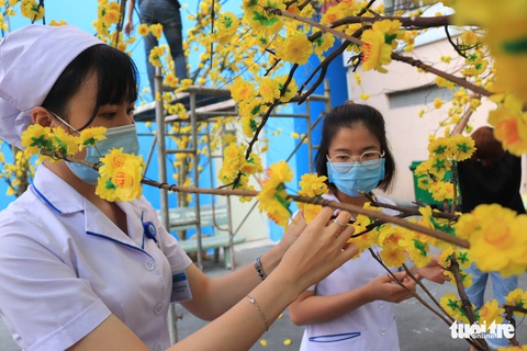 Dạo đường hoa xuân bệnh viện để vơi bớt nỗi buồn bệnh tật - Ảnh 9. Dạo đường hoa xuân bệnh viện để vơi bớt nỗi buồn bệnh tật - Ảnh 9.