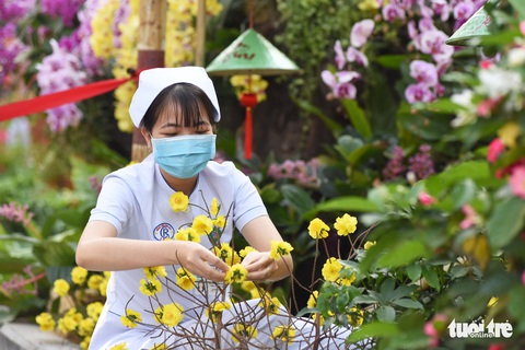 Dạo đường hoa xuân bệnh viện để vơi bớt nỗi buồn bệnh tật - Ảnh 5. Dạo đường hoa xuân bệnh viện để vơi bớt nỗi buồn bệnh tật - Ảnh 5.