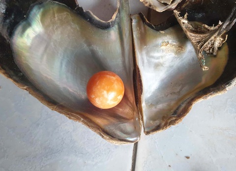 Ngư dân nghèo nhặt được ngọc màu cam hiếm có, được trả giá 7,6 tỉ đồng - Ảnh 1. Ngư dân nghèo nhặt được ngọc màu cam hiếm có, được trả giá 7,6 tỉ đồng - Ảnh 1.