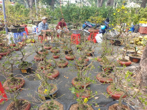 Hoa ế, người bán vẫn tự tin giữ giá, người mua canh me chờ giảm - Ảnh 6. Hoa ế, người bán vẫn tự tin giữ giá, người mua canh me chờ giảm - Ảnh 6.