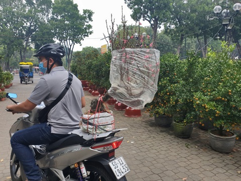 Hoa ế, người bán vẫn tự tin giữ giá, người mua canh me chờ giảm - Ảnh 10. Hoa ế, người bán vẫn tự tin giữ giá, người mua canh me chờ giảm - Ảnh 10.