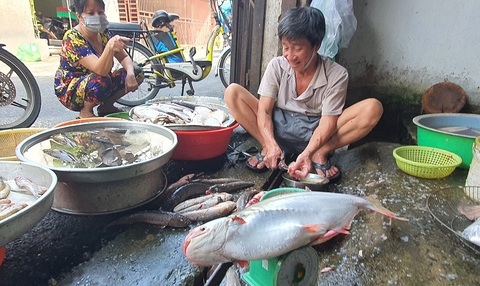 Săn món độc ăn tết - Ảnh 1. Săn món độc ăn tết - Ảnh 1.