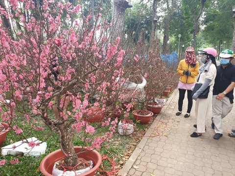 Hoa ế, người bán vẫn tự tin giữ giá, người mua canh me chờ giảm - Ảnh 9. Hoa ế, người bán vẫn tự tin giữ giá, người mua canh me chờ giảm - Ảnh 9.