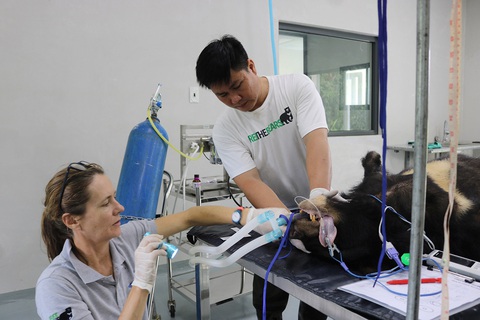 Bảo mẫu rừng xanh - Kỳ 1: Hồi sinh sau tháng ngày ở địa ngục - Ảnh 1. Bảo mẫu rừng xanh - Kỳ 1: Hồi sinh sau tháng ngày ở địa ngục - Ảnh 1.