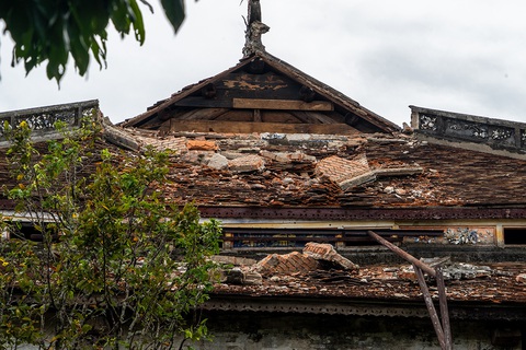 thai hoa 1 thai hoa 1
