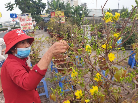 Sức mua chậm còn gặp mưa, người bán hoa trái ở Sài Gòn lo sốt vó - Ảnh 1. Sức mua chậm còn gặp mưa, người bán hoa trái ở Sài Gòn lo sốt vó - Ảnh 1.