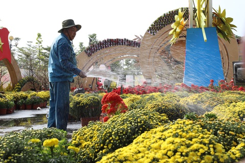 Ngắm đường hoa nghệ thuật Cần Thơ trước khai mạc - Ảnh 8. Ngắm đường hoa nghệ thuật Cần Thơ trước khai mạc - Ảnh 8.