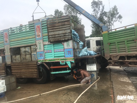 Campuchia cho phép nhập khẩu trở lại 4 loài cá từ Việt Nam - Ảnh 3. Campuchia cho phép nhập khẩu trở lại 4 loài cá từ Việt Nam - Ảnh 3.