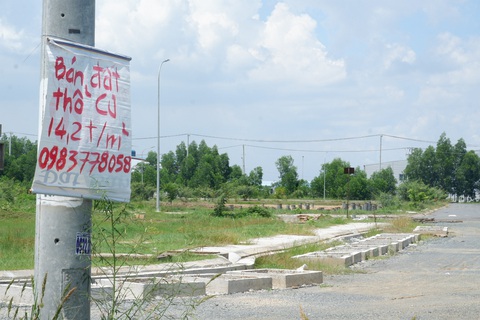 Đất ở Long An, An Giang biến động mạnh, đất nông nghiệp ít tăng - Ảnh 1. Đất ở Long An, An Giang biến động mạnh, đất nông nghiệp ít tăng - Ảnh 1.