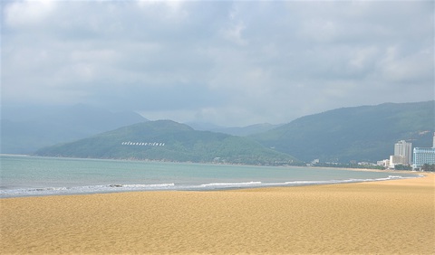Phá rừng để gắn tên Thị Xã Hoài Nhơn: Sẽ trồng cây, phủ xanh lại rừng - Ảnh 5. Phá rừng để gắn tên Thị Xã Hoài Nhơn: Sẽ trồng cây, phủ xanh lại rừng - Ảnh 5.