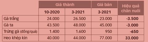 Người chăn nuôi lao đao vì giá thức ăn tăng chóng mặt - Ảnh 2. Người chăn nuôi lao đao vì giá thức ăn tăng chóng mặt - Ảnh 2.