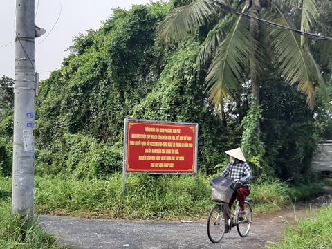 TP.HCM phải mất mấy ngàn năm mới đạt tiêu chuẩn cây xanh - Ảnh 2. TP.HCM phải mất mấy ngàn năm mới đạt tiêu chuẩn cây xanh - Ảnh 2.