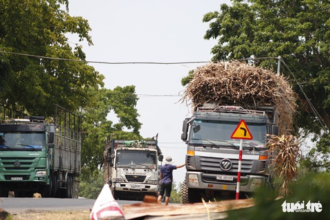 CSGT đã ra quân, xe chở mía cồng kềnh vẫn tung hoành trên quốc lộ 26 - Ảnh 5. CSGT đã ra quân, xe chở mía cồng kềnh vẫn tung hoành trên quốc lộ 26 - Ảnh 5.