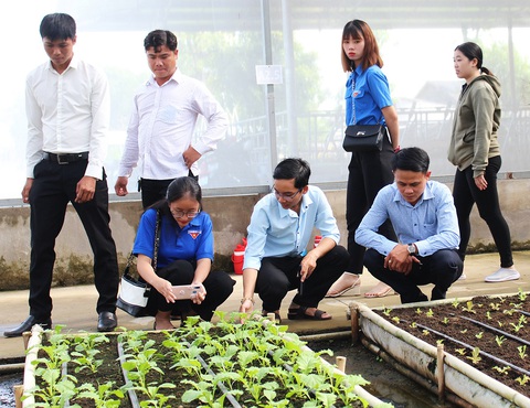 Không thể xúi khởi nghiệp bất chấp - Ảnh 1. Không thể xúi khởi nghiệp bất chấp - Ảnh 1.