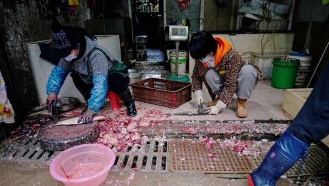 Nghiên cứu mới: COVID-19 đã âm thầm lây nhiễm trước khi bị lộ? - Ảnh 1. Nghiên cứu mới: COVID-19 đã âm thầm lây nhiễm trước khi bị lộ? - Ảnh 1.