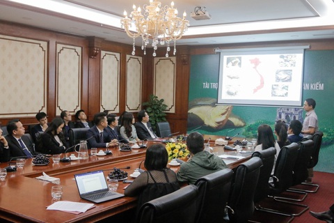 Danko Group chung tay bảo tồn rùa Hoàn Kiếm - Ảnh 3. Danko Group chung tay bảo tồn rùa Hoàn Kiếm - Ảnh 3.