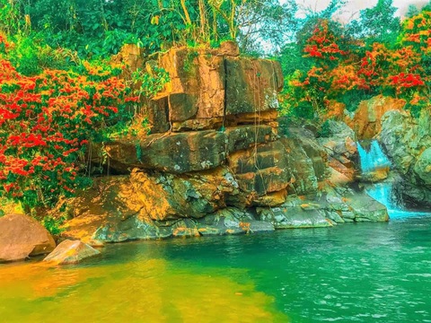 Suối Tà Má rực rỡ hoa trang rừng chưa bao giờ đẹp như năm nay - Ảnh 7. Suối Tà Má rực rỡ hoa trang rừng chưa bao giờ đẹp như năm nay - Ảnh 7.