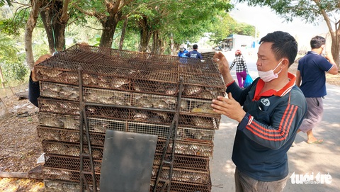 Nhộn nhịp chợ chuột đồng nơi biên giới: Mua bao nhiêu bán hết bấy nhiêu - Ảnh 2. Nhộn nhịp chợ chuột đồng nơi biên giới: Mua bao nhiêu bán hết bấy nhiêu - Ảnh 2.
