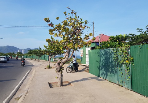 Cưỡng chế thu hồi dự án lấn vịnh Nha Trang, lấy đất xây công viên - Ảnh 2. Cưỡng chế thu hồi dự án lấn vịnh Nha Trang, lấy đất xây công viên - Ảnh 2.