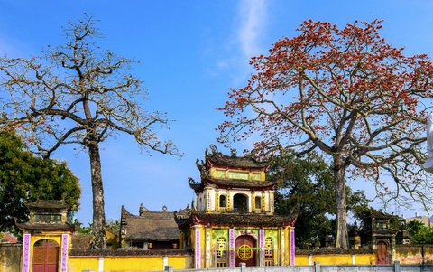 Mùa hoa gạo thắp lửa đất trời - Ảnh 5. Mùa hoa gạo thắp lửa đất trời - Ảnh 5.