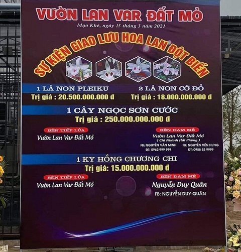 Tổng cục Thuế thúc các cục thuế nắm bắt giao dịch lan đột biến - Ảnh 1. Tổng cục Thuế thúc các cục thuế nắm bắt giao dịch lan đột biến - Ảnh 1.