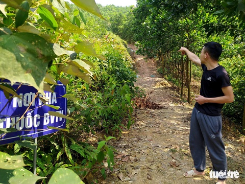 Hà Tĩnh: Nhiều cán bộ xã được giao, cho ‘mượn’ đất rừng sai quy định - Ảnh 1. Hà Tĩnh: Nhiều cán bộ xã được giao, cho ‘mượn’ đất rừng sai quy định - Ảnh 1.
