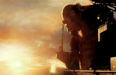 Godzilla vs. Kong đại thắng 123 triệu USD: Vì sao phim ngớ ngẩn là trụ cột phòng vé toàn cầu? - Ảnh 1. Godzilla vs. Kong đại thắng 123 triệu USD: Vì sao phim ngớ ngẩn là trụ cột phòng vé toàn cầu? - Ảnh 1.