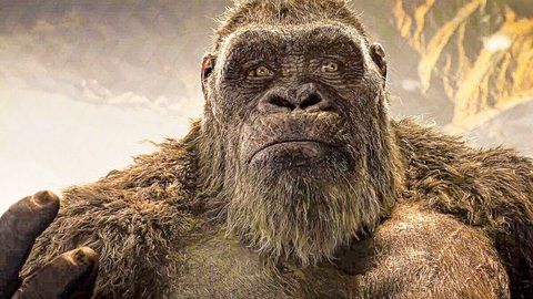 Godzilla vs. Kong đại thắng 123 triệu USD: Vì sao phim ngớ ngẩn là trụ cột phòng vé toàn cầu? - Ảnh 3. Godzilla vs. Kong đại thắng 123 triệu USD: Vì sao phim ngớ ngẩn là trụ cột phòng vé toàn cầu? - Ảnh 3.