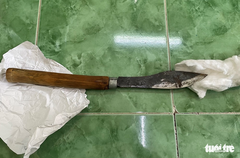 Em trai dùng mác đâm anh ruột chết tại chỗ - Ảnh 2. Em trai dùng mác đâm anh ruột chết tại chỗ - Ảnh 2.