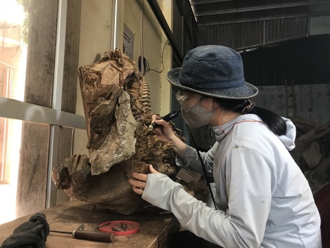 ILO: Tỉ lệ phụ nữ Việt tham gia lao động hơn 70%, toàn cầu dưới 50% - Ảnh 1. ILO: Tỉ lệ phụ nữ Việt tham gia lao động hơn 70%, toàn cầu dưới 50% - Ảnh 1.