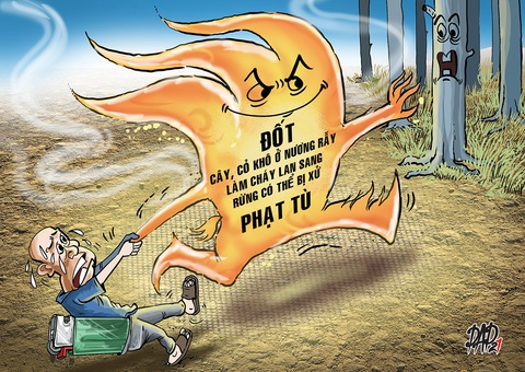 Lãnh án tù vì... đốt rác, đốt cỏ - Ảnh 1. Lãnh án tù vì... đốt rác, đốt cỏ - Ảnh 1.