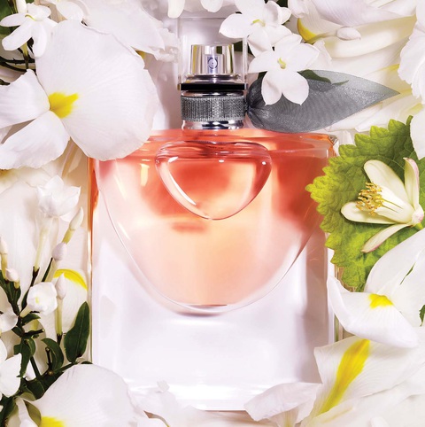 Nước hoa: Vũ khí vô hình của (anh) chị em - Ảnh 4. Nước hoa: Vũ khí vô hình của (anh) chị em - Ảnh 4.