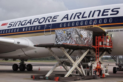 Singapore hi vọng trở thành trung tâm trung chuyển vắc xin COVID-19 ra thế giới - Ảnh 1. Singapore hi vọng trở thành trung tâm trung chuyển vắc xin COVID-19 ra thế giới - Ảnh 1.