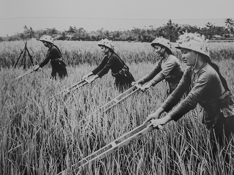 Đào Trình và những bức ảnh miền Bắc thời chiến còn mãi - Ảnh 3. Đào Trình và những bức ảnh miền Bắc thời chiến còn mãi - Ảnh 3.