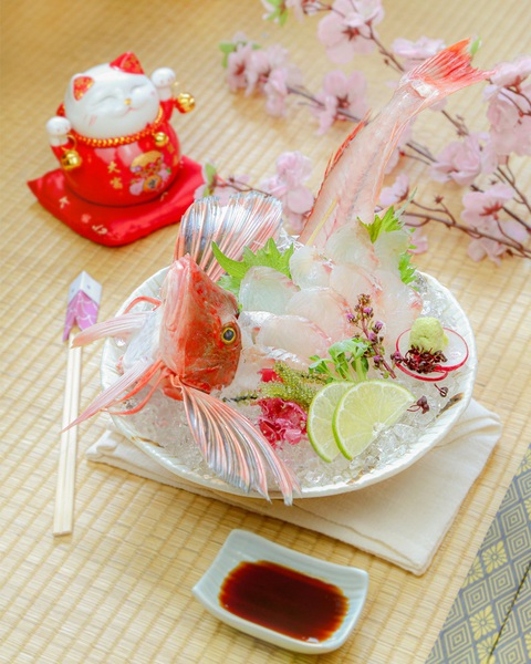 Houbou - Loài cá mùa xuân của giới thượng lưu Nhật Bản - Ảnh 1. Houbou - Loài cá mùa xuân của giới thượng lưu Nhật Bản - Ảnh 1.