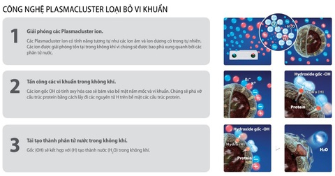 Sharp Plasmacluster Ion - hiệu quả 20 năm nâng cao chất lượng không khí - Ảnh 2. Sharp Plasmacluster Ion - hiệu quả 20 năm nâng cao chất lượng không khí - Ảnh 2.