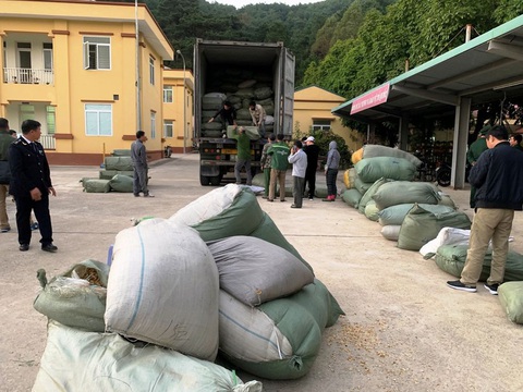 Trùm buôn lậu 5.000 tấn thuốc bắc khai hối lộ lãnh đạo chi cục hải quan cửa khẩu 2 tỉ đồng - Ảnh 2. Trùm buôn lậu 5.000 tấn thuốc bắc khai hối lộ lãnh đạo chi cục hải quan cửa khẩu 2 tỉ đồng - Ảnh 2.