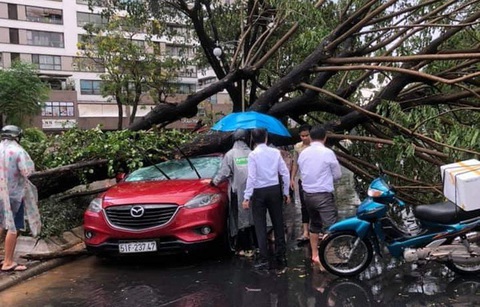 Miền Nam vào mùa mưa sớm hơn do tác động của La Nina - Ảnh 1. Miền Nam vào mùa mưa sớm hơn do tác động của La Nina - Ảnh 1.