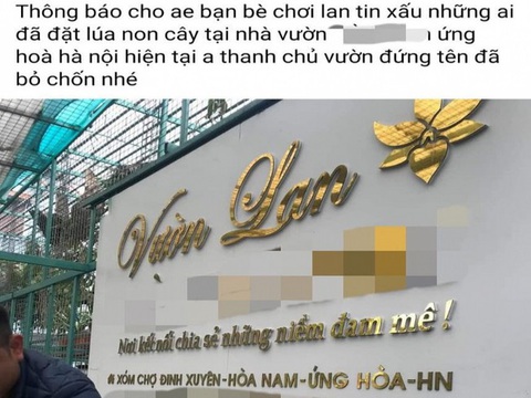 Chủ vườn lan đột biến ‘ôm’ 11 tỉ của khách mua lan xong đột biến - Ảnh 1. Chủ vườn lan đột biến ‘ôm’ 11 tỉ của khách mua lan xong đột biến - Ảnh 1.