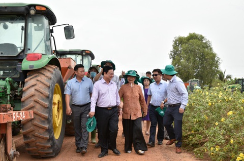 Tân Bộ trưởng Lê Minh Hoan thăm Nông trường Thành Long - Tây Ninh - Ảnh 1. Tân Bộ trưởng Lê Minh Hoan thăm Nông trường Thành Long - Tây Ninh - Ảnh 1.