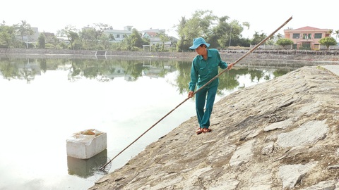 Cá chết nổi trắng lòng hồ, bốc mùi nồng nặc giữa thành phố Tam Kỳ - Ảnh 5. Cá chết nổi trắng lòng hồ, bốc mùi nồng nặc giữa thành phố Tam Kỳ - Ảnh 5.