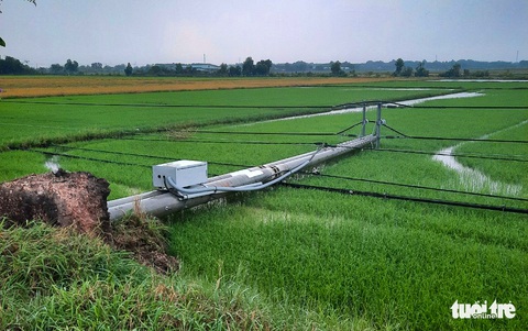 Hàng chục trụ điện ngã trong mưa gây mất điện diện rộng ở Củ Chi - Ảnh 2. Hàng chục trụ điện ngã trong mưa gây mất điện diện rộng ở Củ Chi - Ảnh 2.