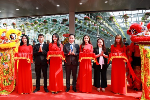 VsetGroup tiếp tục khai trương Siêu thị Cây xanh - Ảnh 1. VsetGroup tiếp tục khai trương Siêu thị Cây xanh - Ảnh 1.