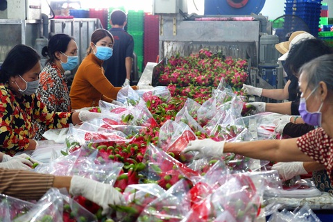 Bí thư Tỉnh ủy Long An Nguyễn Văn Được: Kinh tế công nghệ cao là quy luật phát triển tất yếu - Ảnh 1. Bí thư Tỉnh ủy Long An Nguyễn Văn Được: Kinh tế công nghệ cao là quy luật phát triển tất yếu - Ảnh 1.