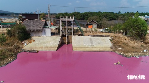 Đầm nước chuyển màu ở Bà Rịa - Vũng Tàu: Phạt, đình chỉ doanh nghiệp xả thải - Ảnh 2. Đầm nước chuyển màu ở Bà Rịa - Vũng Tàu: Phạt, đình chỉ doanh nghiệp xả thải - Ảnh 2.