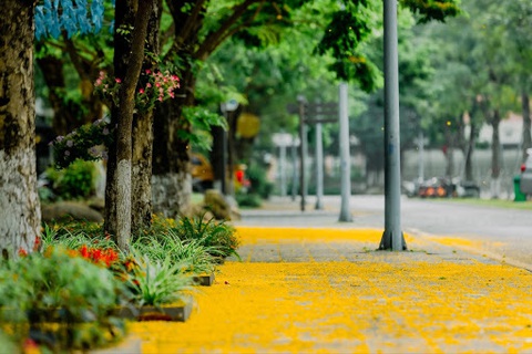 Cung đường chạy marathon đẹp như mơ tại Ecopark - Ảnh 10. Cung đường chạy marathon đẹp như mơ tại Ecopark - Ảnh 10.