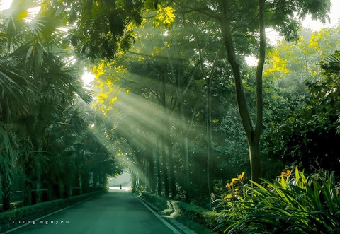 Cung đường chạy marathon đẹp như mơ tại Ecopark - Ảnh 11. Cung đường chạy marathon đẹp như mơ tại Ecopark - Ảnh 11.
