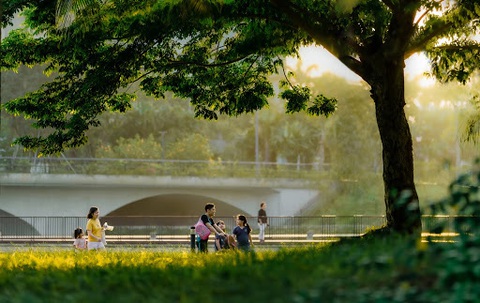 Cung đường chạy marathon đẹp như mơ tại Ecopark - Ảnh 14. Cung đường chạy marathon đẹp như mơ tại Ecopark - Ảnh 14.