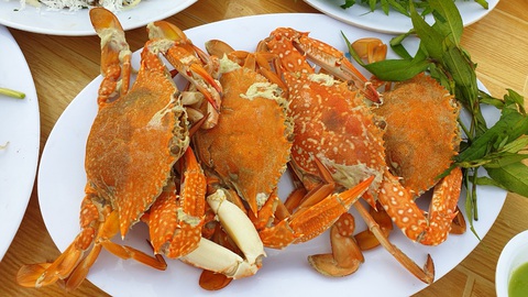 Vì sao khách đến Phú Quốc chẳng muốn về? - Ảnh 5. Vì sao khách đến Phú Quốc chẳng muốn về? - Ảnh 5.
